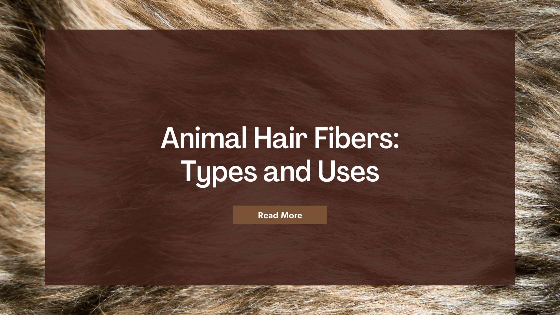 Animal Hair Fibers: Types and Uses for Textile Companies in India | DMI