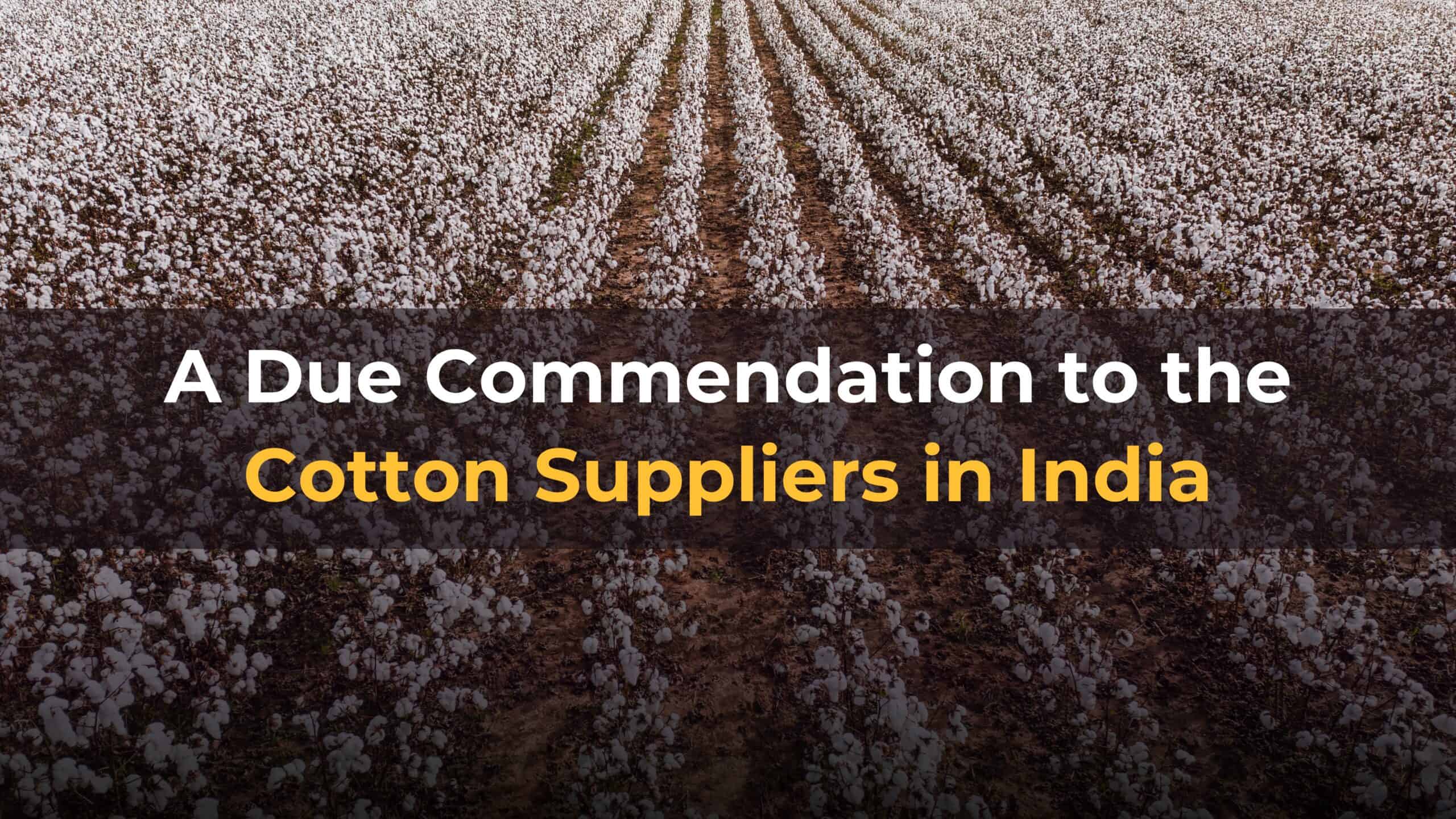 Cotton Suppliers in India