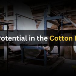 India's Potential in the Cotton Industry