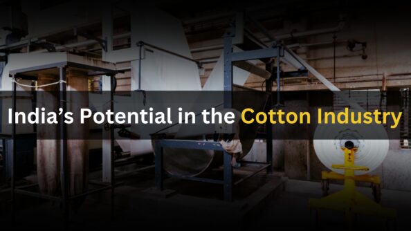 India's Potential in the Cotton Industry