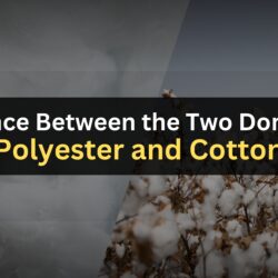 Difference Between the Two Dominants Polyester and Cotton