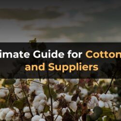 The Ultimate Guide for Cotton Buyers and Suppliers