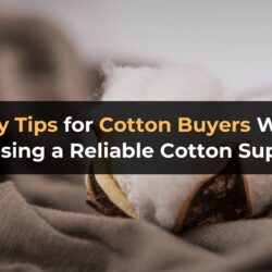 5 Key Tips for Cotton Buyers When Choosing a Reliable Cotton Supplier