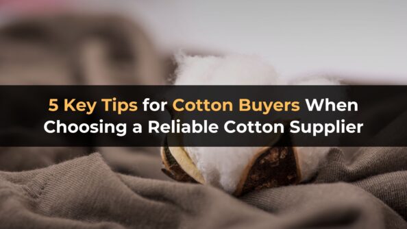 5 Key Tips for Cotton Buyers When Choosing a Reliable Cotton Supplier