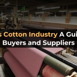 India’s Cotton Industry: A Guide for Buyers and Suppliers