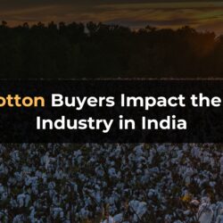 How Cotton Buyers Impact the Textile Industry in India